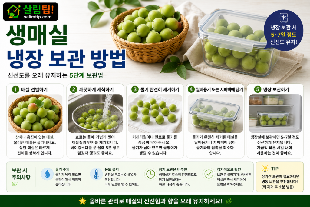 생매실 냉장 보관 방법