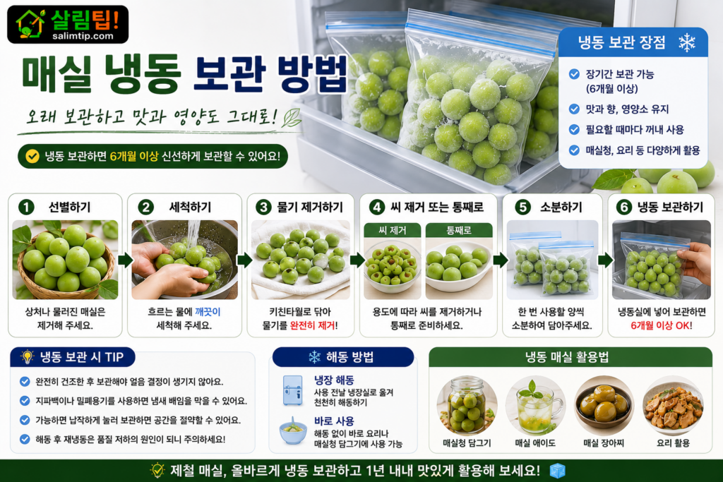 매실 냉동 보관 방법