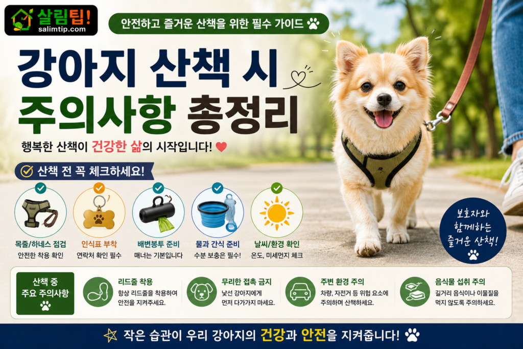 강아지 산책