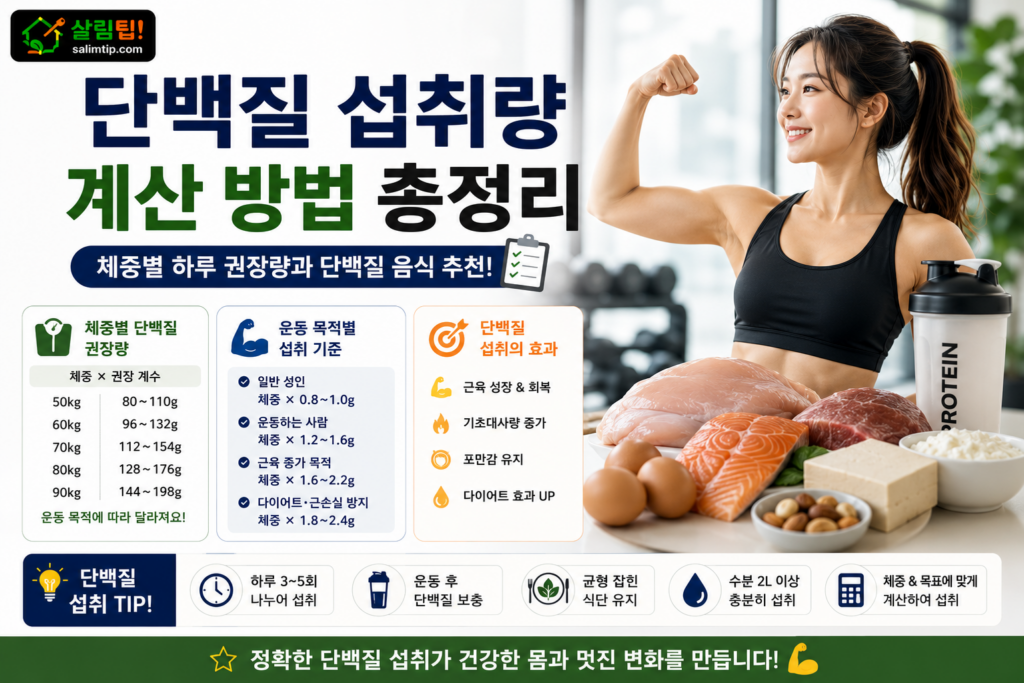 단백질 섭취량 계산 방법