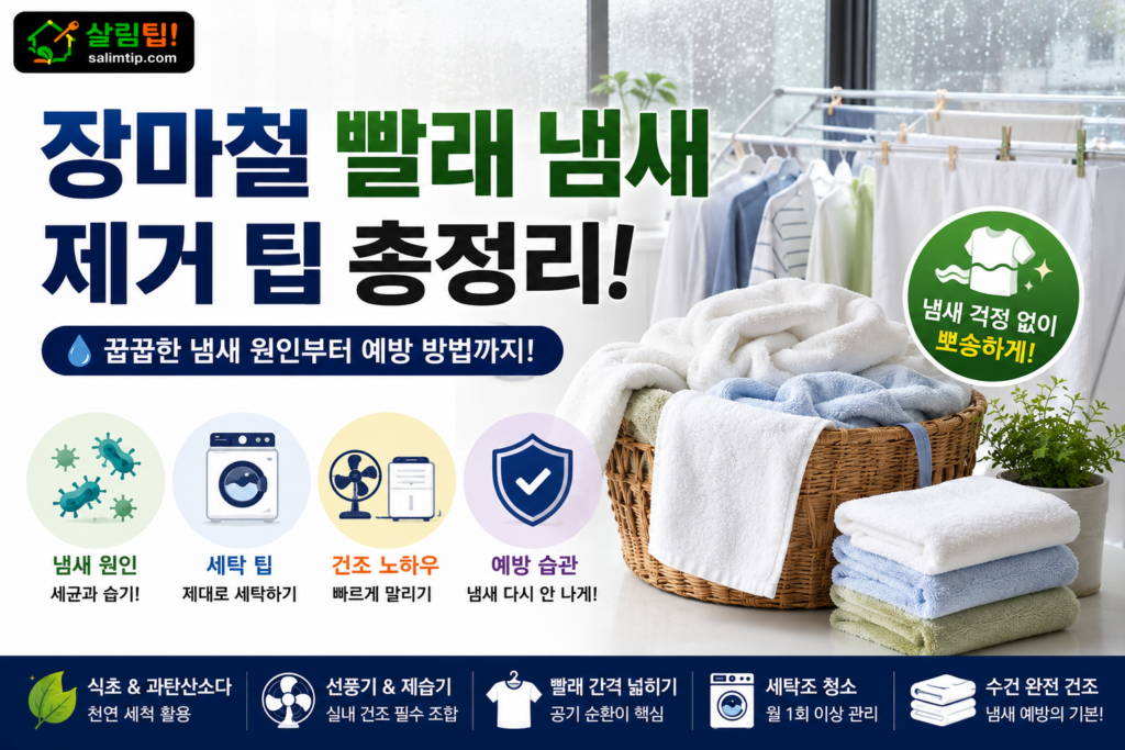 장마철 빨래 냄새 제거