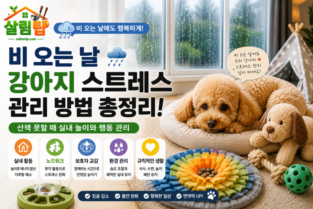 강아지 스트레스 관리