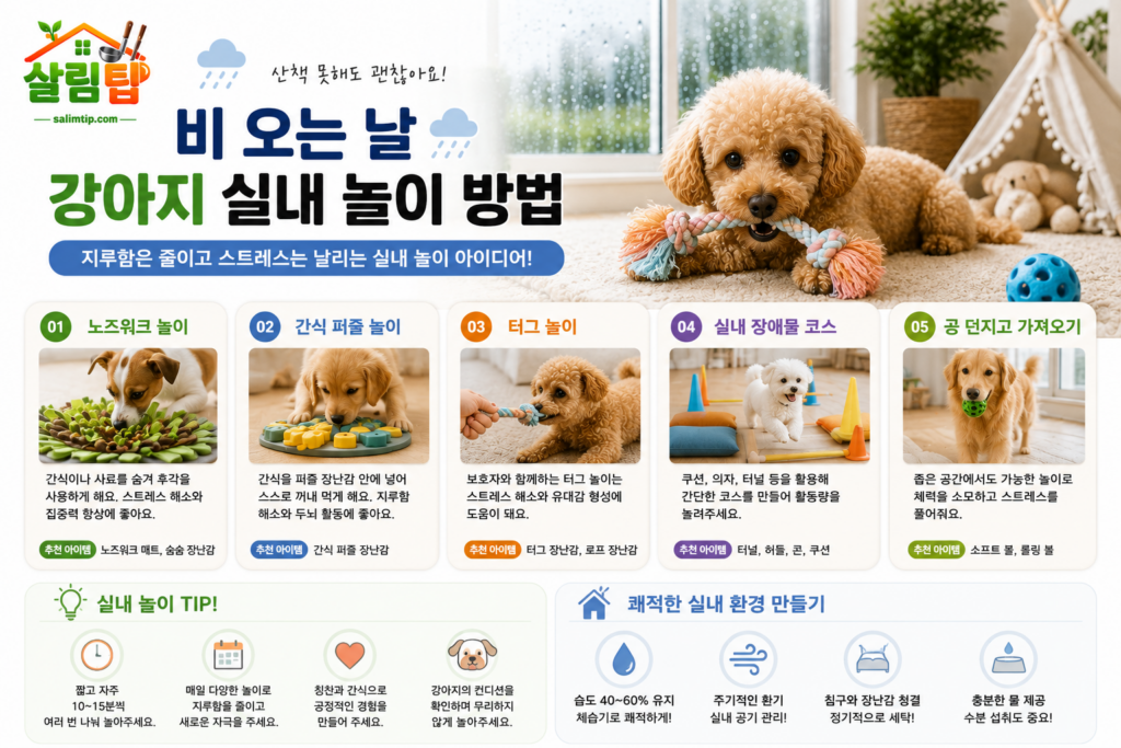 비 오는 날 강아지 실내 놀이 방법