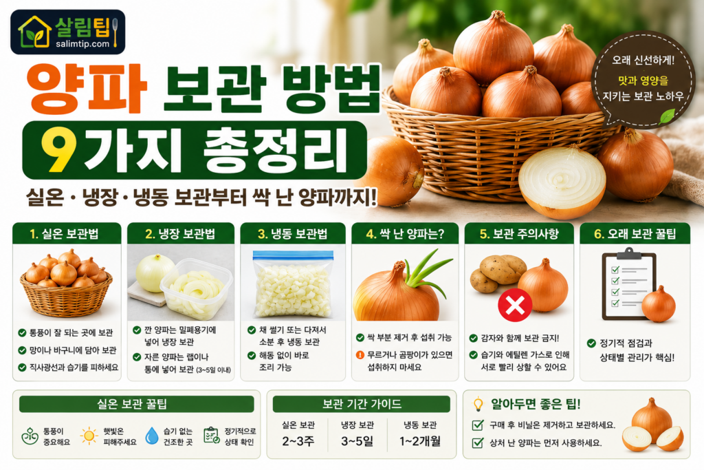 양파 보관