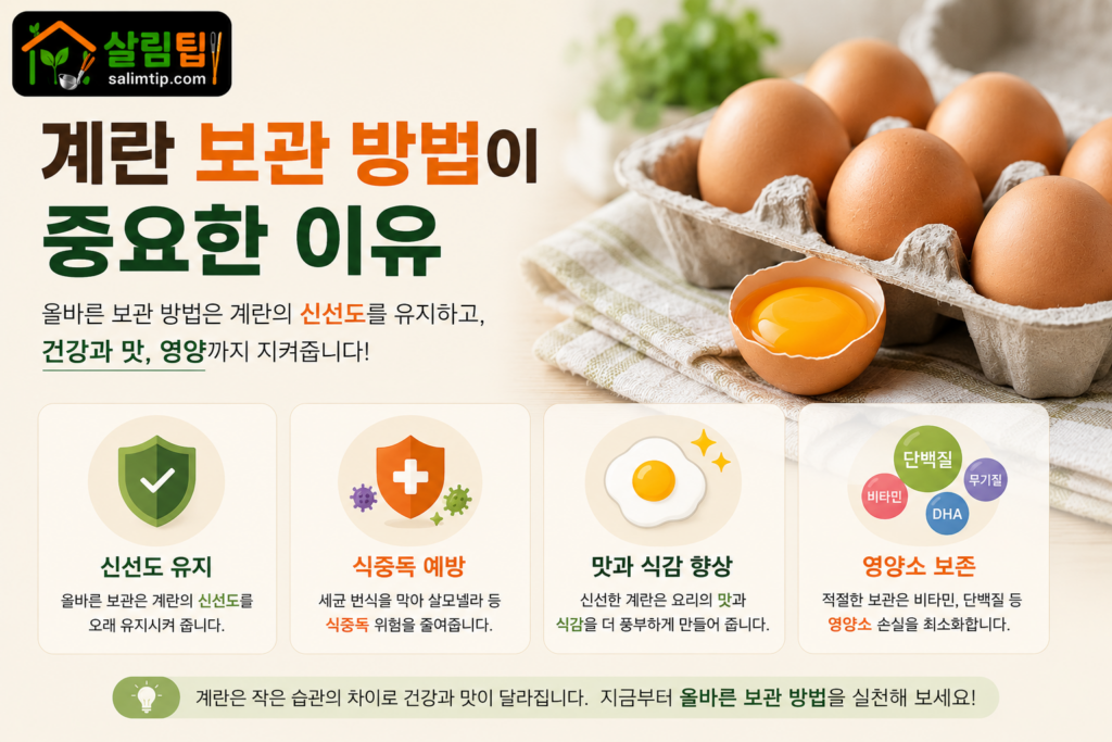 계란 보관 방법이 중요한 이유