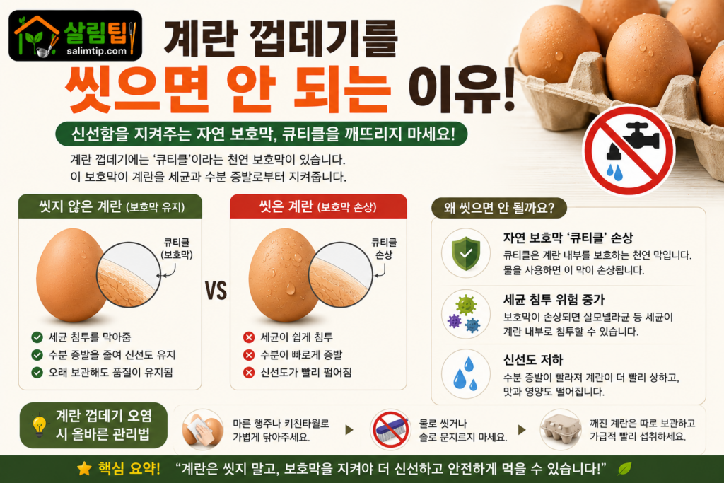 계란 껍데기를 씻으면 안 되는 이유