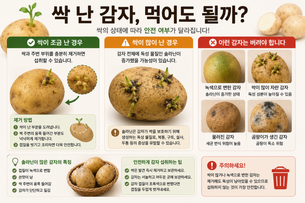 싹 난 감자, 먹어도 될까?