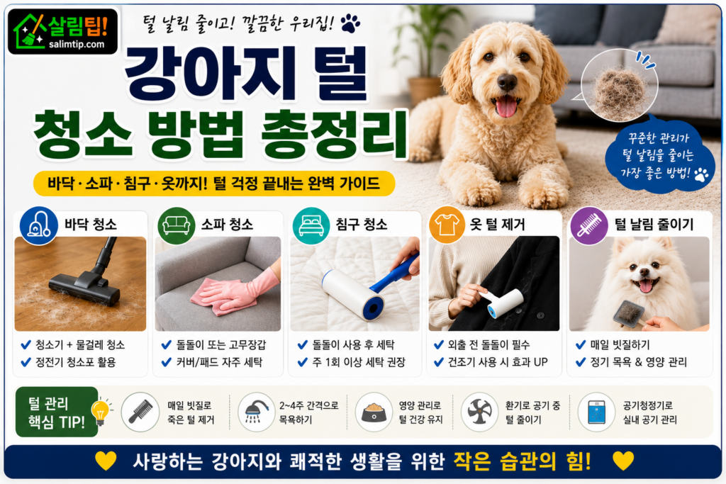 강아지 털 정리